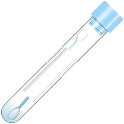 Rapid Test